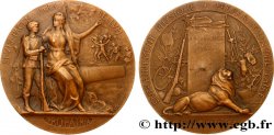 TERZA REPUBBLICA FRANCESE Médaille PRO PATRIA - Préparation militaire