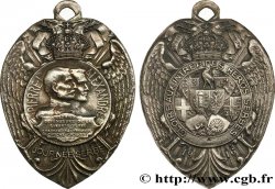 SERBIE (ROYAUME DE...) - PIERRE I Journée Serbe 1916 TTB+