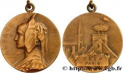 ALSACE - VILLES ET NOBLESSE Médaille Alsace, C.S.E.P. de Paris