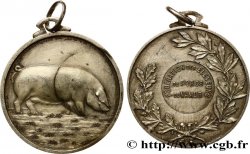 BELGIEN - NAMUR Médaille, fédération des éleveurs de porcs