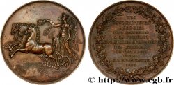 LOUIS XVIII Médaille des victoires napoléoniennes