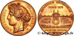 III REPUBLIC Médaille, Palais du Trocadéro, Exposition Universelle AU