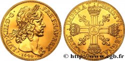 LOUIS XIII Médaille refrappe du Dix Louis AU