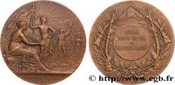 TIR ET ARQUEBUSE Médaille, société mixte de tir