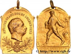 LUXEMBOURG - GRAND-DUCHÉ DE LUXEMBOURG - ADOLPHE DE NASSAU Plaquette, cercle grand ducal, 50e anniversaire