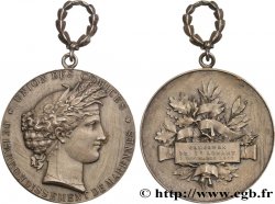 DRITTE FRANZOSISCHE REPUBLIK Médaille de récompense, comice agricole