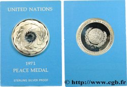 VEREINIGTE STAATEN VON AMERIKA Médaille pour la Paix, Nations Unis