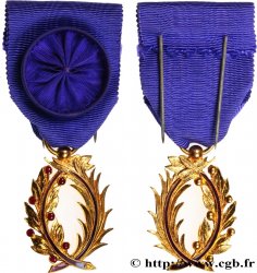 V REPUBLIC Ordre des Palmes académiques, Officier