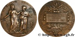 III REPUBLIC Médaille de récompense, concours central agricole, membre du jury