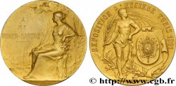 TUNEZ - Protectorado Frances Médaille de récompense, Exposition d’hygiène