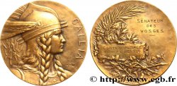 DRITTE FRANZOSISCHE REPUBLIK Médaille GALLIA, récompense