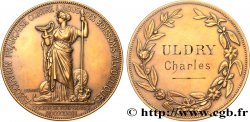 PROFESIONAL ASSOCIATIONS - TRADE UNIONS Médaille, Société de tempérance