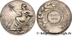 III REPUBLIC Médaille Au Mérite, Exposition agricole Industrielle et commerciale