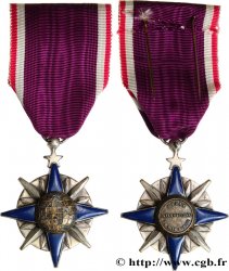 QUINTA REPUBLICA FRANCESA Médaille de l Union Internationale du Bien Public, Oeuvre humanitaire