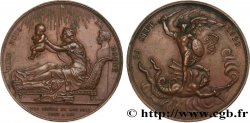 HENRI V COMTE DE CHAMBORD Médaille, Naissance du futur comte de Chambord (Henri V)