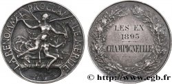 III REPUBLIC Médaille de récompense, Les Ex