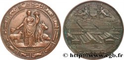 III REPUBLIC Médaille, Marché aux bestiaux et abattoirs généraux de la ville de Paris