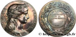 TERZA REPUBBLICA FRANCESE Médaille, Souvenir de la Grande Guerre