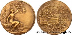 TERZA REPUBBLICA FRANCESE Médaille de récompense, Caisse des écoles, Cours complémentaires