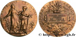 TERZA REPUBBLICA FRANCESE Médaille de récompense, concours général agricole, membre du jury