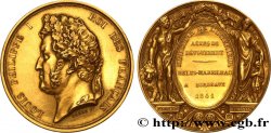 LOUIS-PHILIPPE Ier Médaille, Actes de dévouement