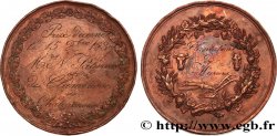 LUIS FELIPE I Médaille, Prix, Plantation de muriers