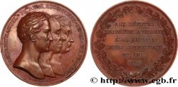 LUIGI XVIII Médaille, Aux députés du département de la Vendée