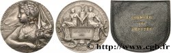 TERCERA REPUBLICA FRANCESA Médaille parlementaire, Albert Hauet
