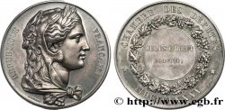 TROISIÈME RÉPUBLIQUE Médaille parlementaire, IVe législature, Jules Garret