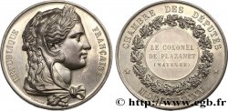 DRITTE FRANZOSISCHE REPUBLIK Médaille parlementaire, IVe législature, Charles-Théophile de Plazanet