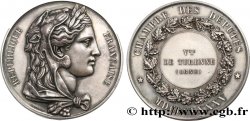 III REPUBLIC Médaille parlementaire, IVe législature, Vicomte Henri de Turenne