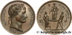 NAPOLEON S EMPIRE Sacre de l empereur AU