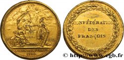 CONSTITUTION - ASSEMBLÉE NATIONALE Médaille, confédération des François