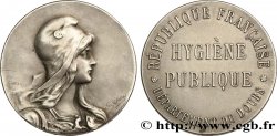 DRITTE FRANZOSISCHE REPUBLIK Médaille, Hygiène publique SS