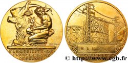 COMPANIES, INDUSTRIES AND MISCELLANEOUS TRADES Médaille de mérite EDF / GDF, 40 années