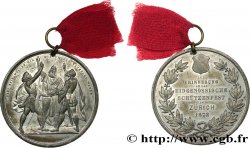 SCHWEIZ Médaille, Souvenir du Festival Fédéral de Zurich