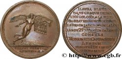 CONSULAT Médaille, Colonne du département du Rhône