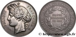 TERCERA REPUBLICA - French Indochina - PROTECTORADO TONKIN  Médaille, Exposition d’Hanoi