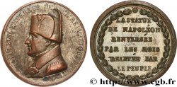 LOUIS-PHILIPPE Ier Médaille, Statue de Napoléon Ier relevée
