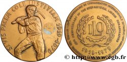 V REPUBLIC Médaille, Soixantenaire de l’organisation internationale du travail