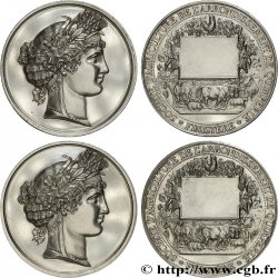 AGRICULTURAL, HORTICULTURAL, FISHING AND HUNTING SOCIETIES Médaille, Société d’agriculture, lot de 2 ex. AU