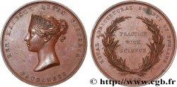 GRANDE BRETAGNE - VICTORIA Médaille, Prix, Royal Agricultural Society of England TTB
