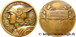 TERCERA REPUBLICA FRANCESA Médaille, Offert par le Petit Journal