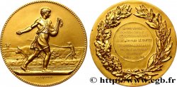 INSURANCES Médaille de récompense, Compagnie continentale d’assurances