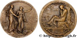 DRITTE FRANZOSISCHE REPUBLIK Médaille de récompense, Par la science pour la patrie