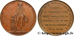SCHWEIZ Médaille, Inauguration du monument de David de Purry