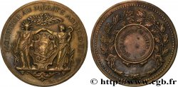 AGRICULTURAL, HORTICULTURAL, FISHING AND HUNTING SOCIETIES Médaille, Honneur au mérite agricole, Comice agricole