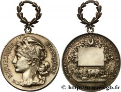 TERCERA REPUBLICA FRANCESA Médaille, Comice agricole