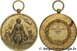 TERZA REPUBBLICA FRANCESE Médaille, Société Agricole de Dunkerque
