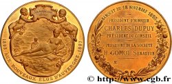 III REPUBLIC Médaille, Aux nouveaux élus d’Auvergne